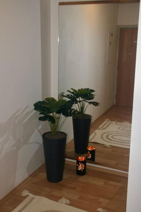 Jasmine Apartment - Free Parking - City Center - Skibus - Tatralandia 5Km Liptovsky Mikulas Exterior photo